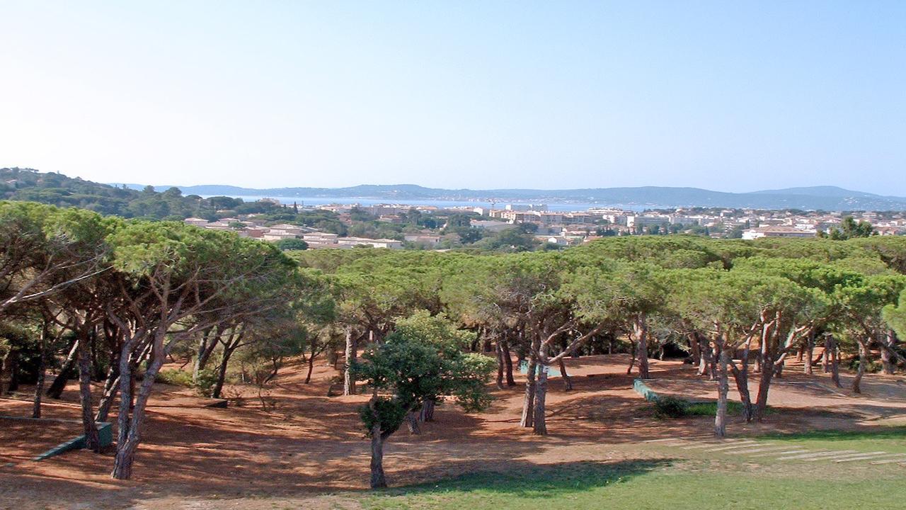 Appartement Les Pins Bleus A8 Σαιντ-Μαξίμ Εξωτερικό φωτογραφία