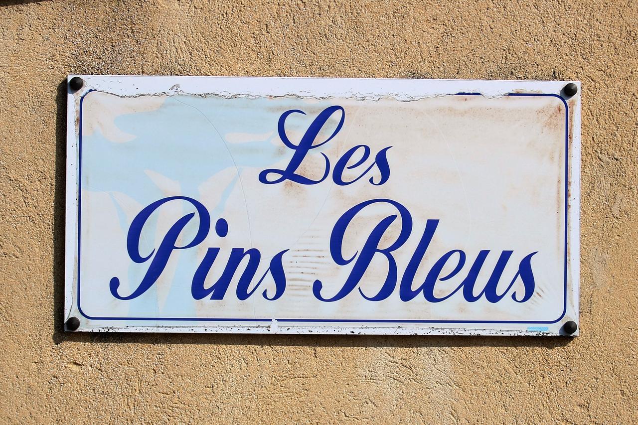 Appartement Les Pins Bleus A8 Σαιντ-Μαξίμ Εξωτερικό φωτογραφία